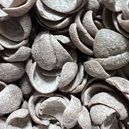 โกโก้ครั้น