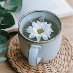 ชาดอกคาโมมายล์