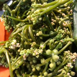 ดอกผักปัง