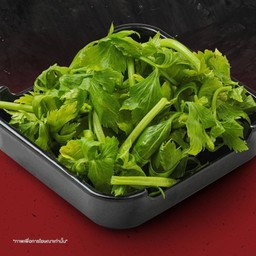 คื่นฉ่าย