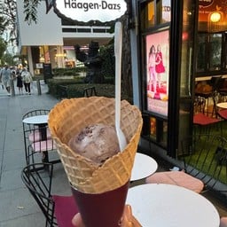 Häagen-Dazs