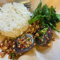 กะเพราเไข่เยี่ยวม้าเนื้อบด