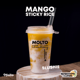 Molto Gelato (มอลโต เจลาโต้) เซ็นทรัลขอนแก่น