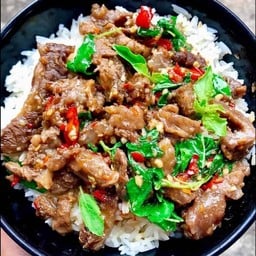 ข้าวกะเพราเนื้อตุ๋น