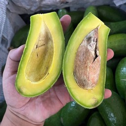 อโวคาโดเวียดนาม(ห่าม)