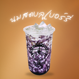 นมสด บลูเบอร์รี่ (Blueberry Fresh Milk)