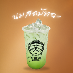 นมสด มัทฉะ (Matcha Fresh Milk)