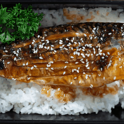 TERIYAKI Meat
