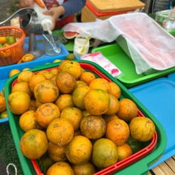 น้ำผลไม้ปั่น ตลาดนัดเคหะบางบัว