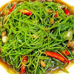 ผักบุ้งไฟแดง