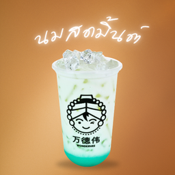 นมสด มิ้นต์ (Mint Fresh Milk)