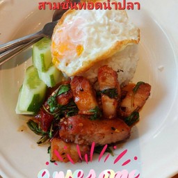 กะเพราหมูกรอบทอดน้ำปลา