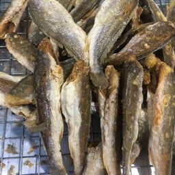 ปลาจวดแดดเดียว