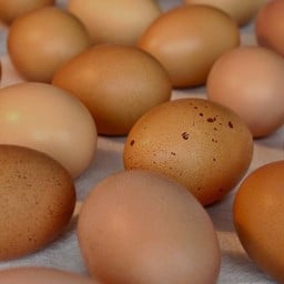 ไข่ไก่อารมณ์ดี