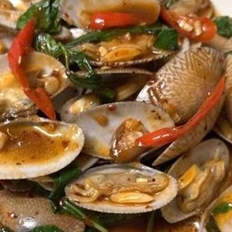 ผัดหอยลายพริกสดใส่ใบโหรพา (เป็นกับข้าว)