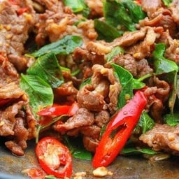 ผัดใบโหรพาราดข้าว