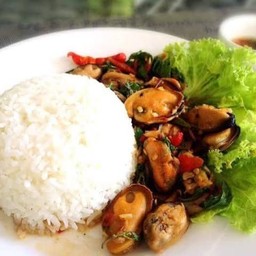 ข้าวกระเพราหอยแมลงภู่ แถมไข่ดาวทุกจาน