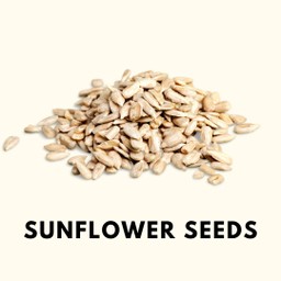 เมล็ดทานตะวันอบแห้ง 10g