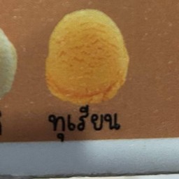 ไอติมทุเรียน