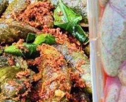 แอปไข่ปลาดุก