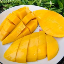 มะม่วงน้ำดอกไม้ หั่นพร้อมทาน [เต็มเเน่นกล่องใหญ่]