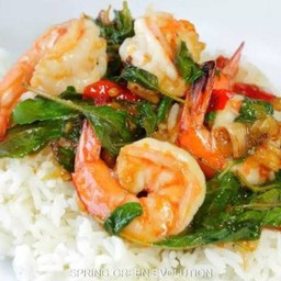 กระเพรากุ้งราดข้าว