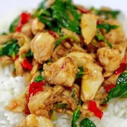 ข้าวราดกระเพราไก่