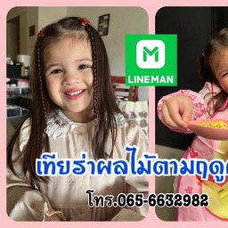 ผลไม้เทียร่าตามฤดูกาล ลำลูกกา