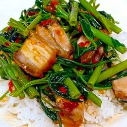 ผัดผักบุ้งราดข้าว(โปรดระบุ)