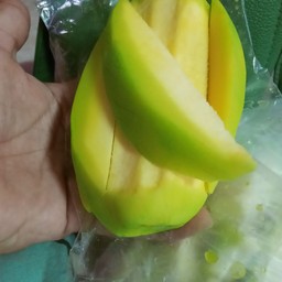 มะม่วงเปรี้ยว