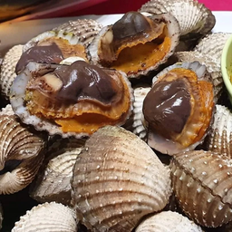 หอยแครงครึ่งกิโล