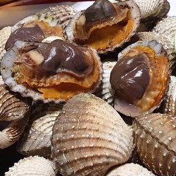 หอยแครง1 กิโล