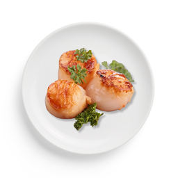 Scallop (3pcs.)