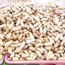 เกษตรลายเสือ