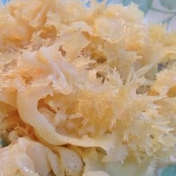 แมงกะพรุน