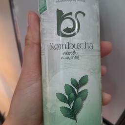 เครื่องดื่มคอมบูชาใบขลู่