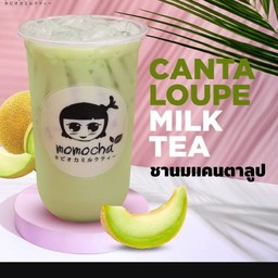 Momocha อุทัยธานี