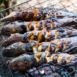 ปลาดุกย่าง