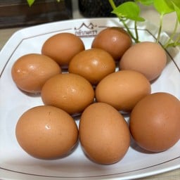 ไข่ต้ม