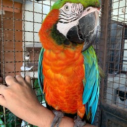 ทิปส์คุณฮาเล่เจ้าของร้าน