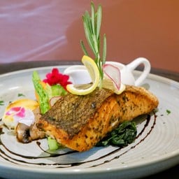 SALMON