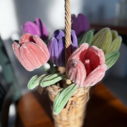 ดอกทิวลิปกำมะหยี่