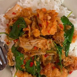 กระเพราไก่กรอบ ราดข้าว