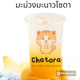 มะม่วงโซดา
