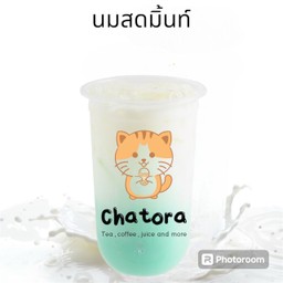 นมมิ้นท์