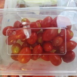 Tomato Queen