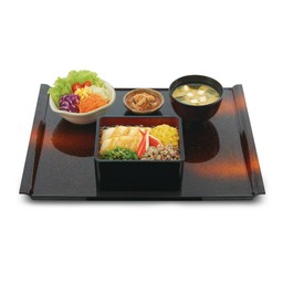 เซตข้าวหน้าปลาแพนกาเซียสดอร์รี่ทรงเครื่อง