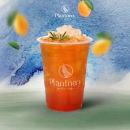 มะยงชิดแบล็คทีวุ้นอโรเวร่า