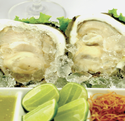 หอยนางรมสดใหญ่ 4ตัว