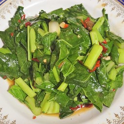 คะน้าไฟแดง